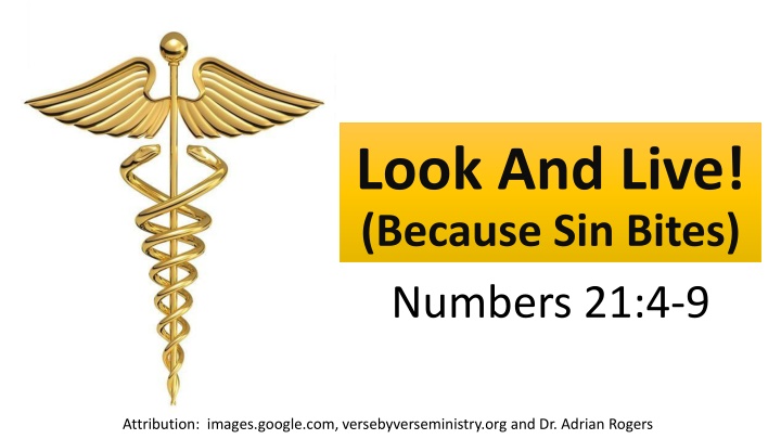 look and live because sin bites numbers 21 4 9