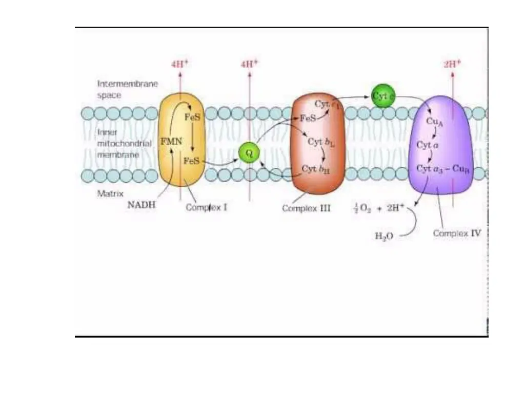 slide10