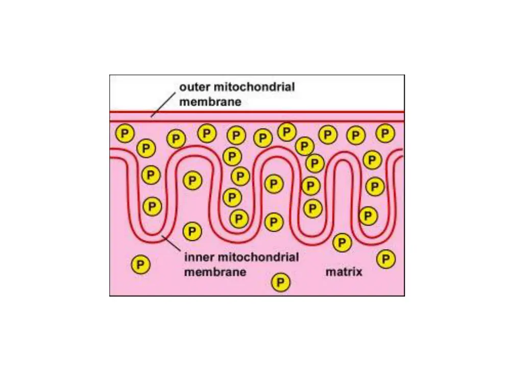 slide4