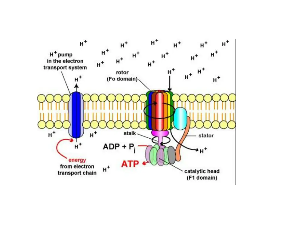 slide6