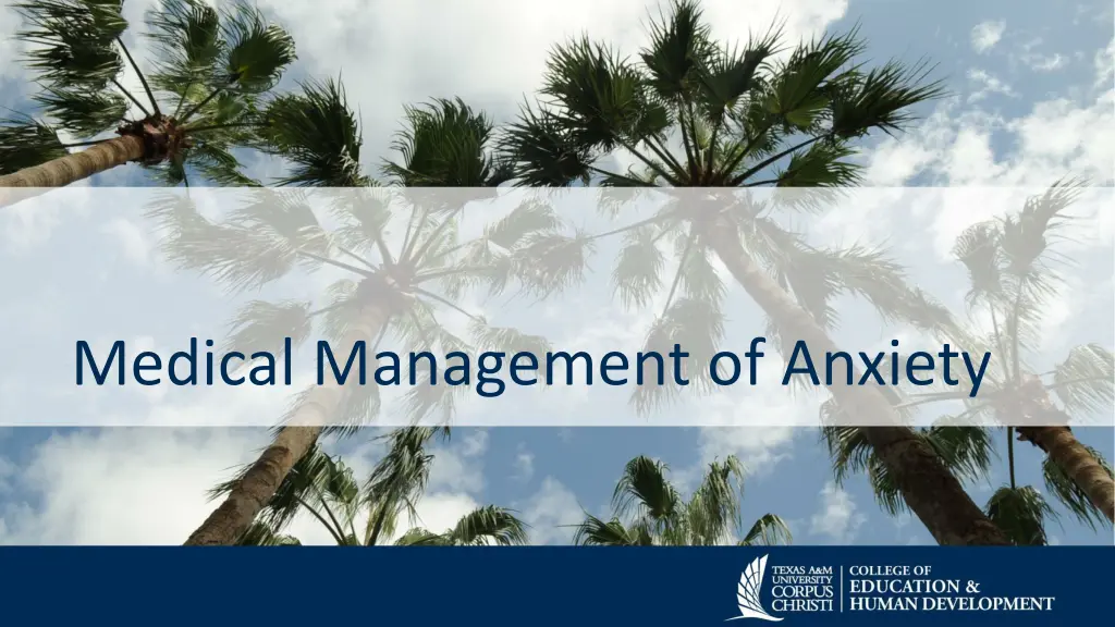 medical management of anxiety