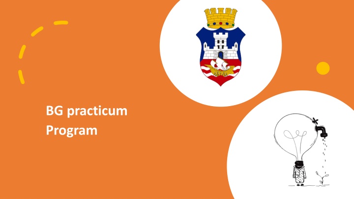 bg practicum program
