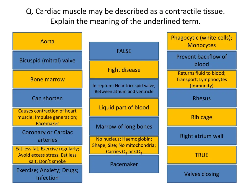 q cardiac muscle may be described