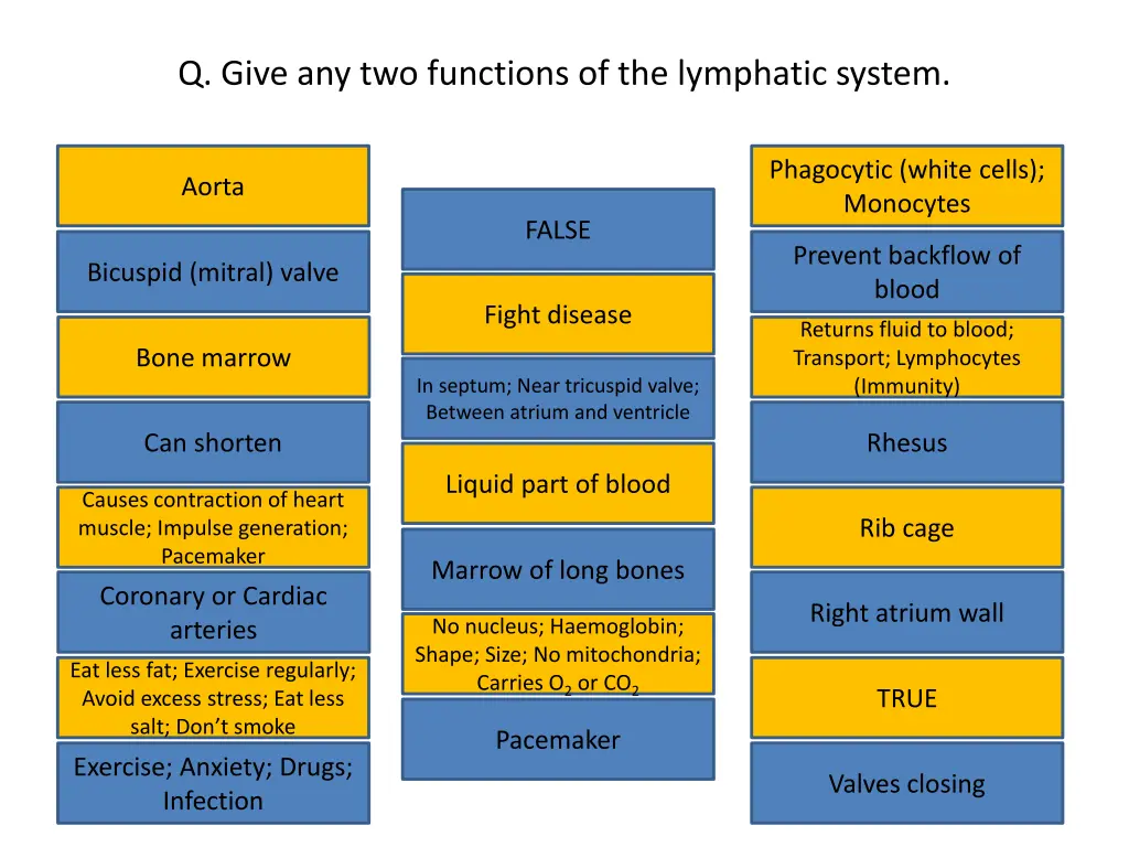 q give any two functions of the lymphatic system