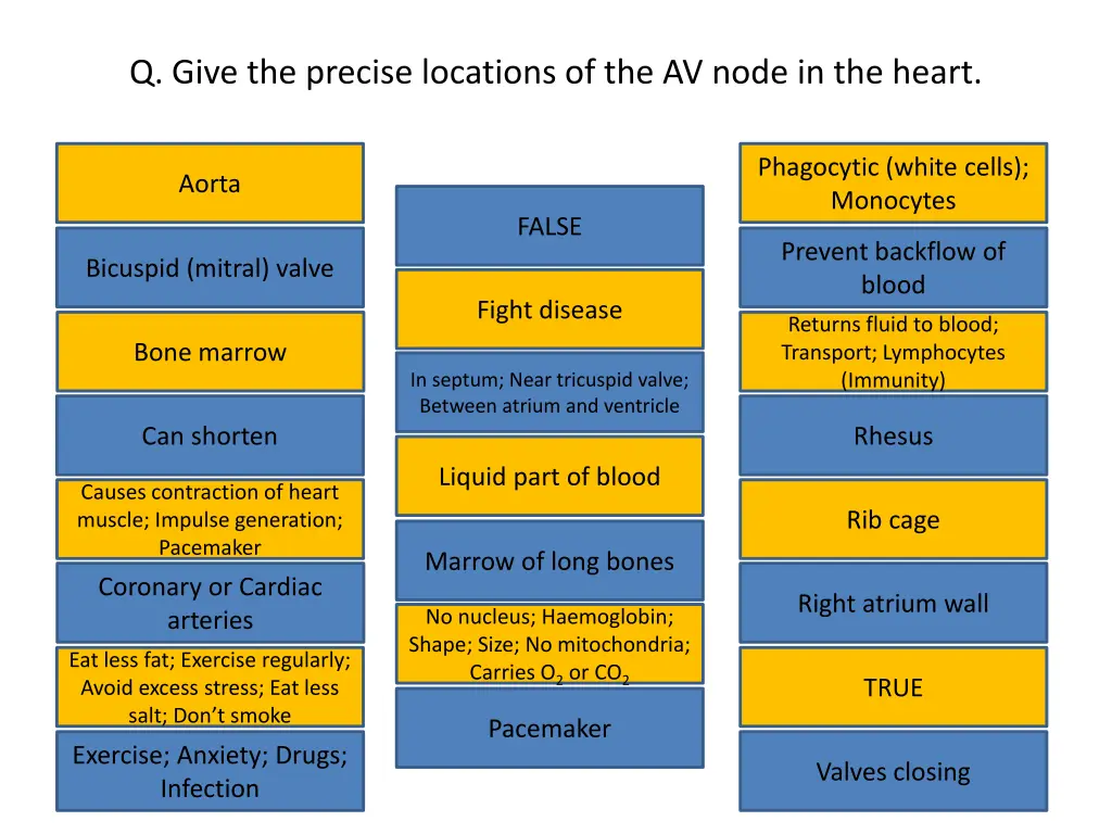 q give the precise locations of the av node