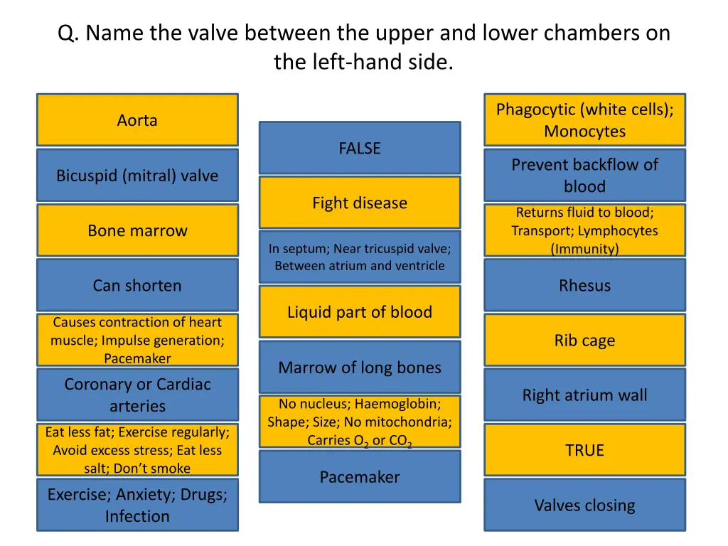 q name the valve between the upper and lower