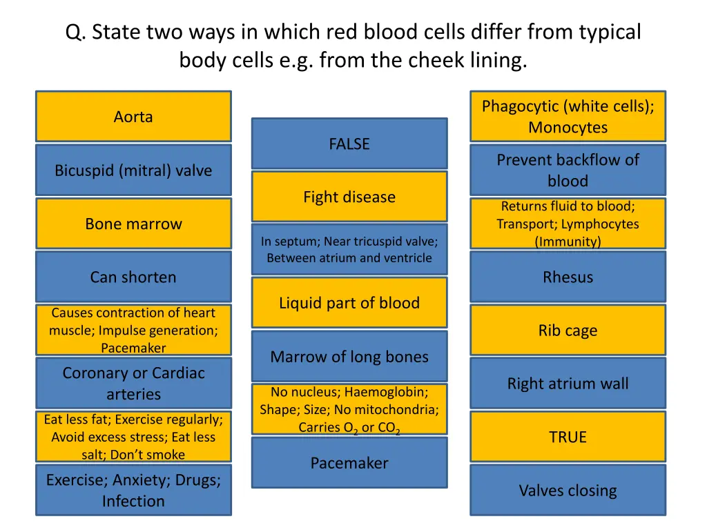 q state two ways in which red blood cells differ