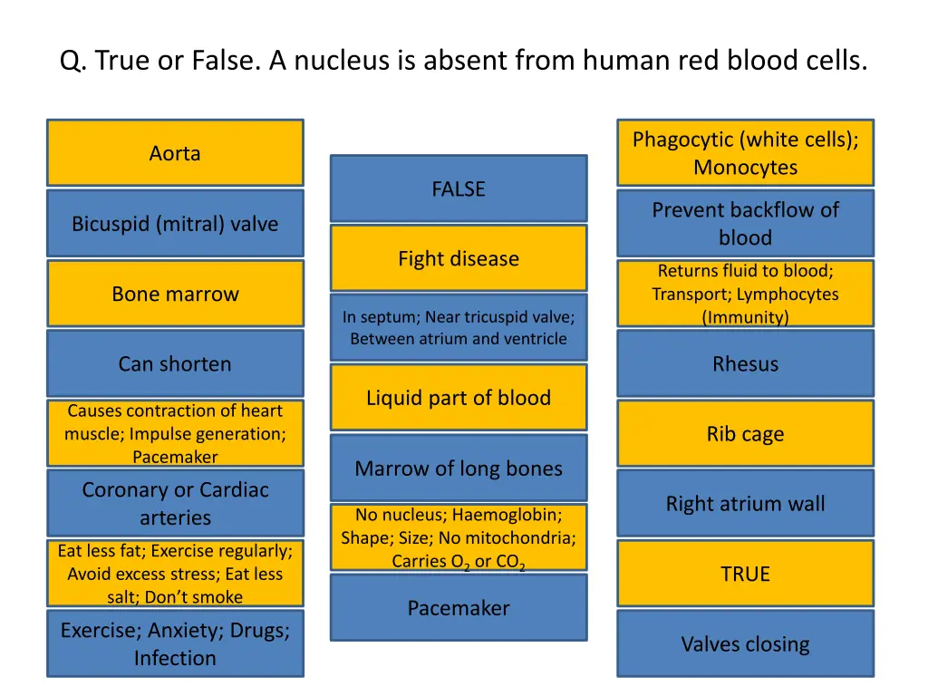q true or false a nucleus is absent from human