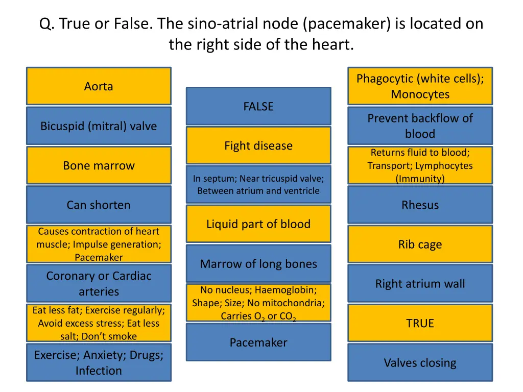 q true or false the sino atrial node pacemaker