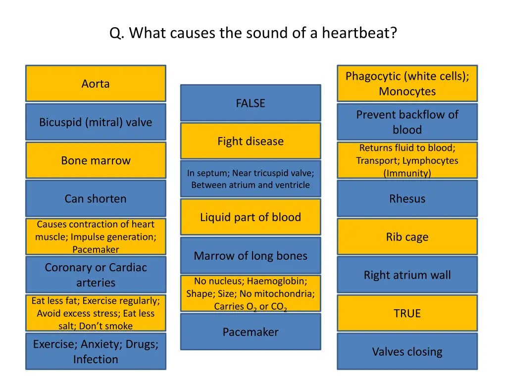 q what causes the sound of a heartbeat