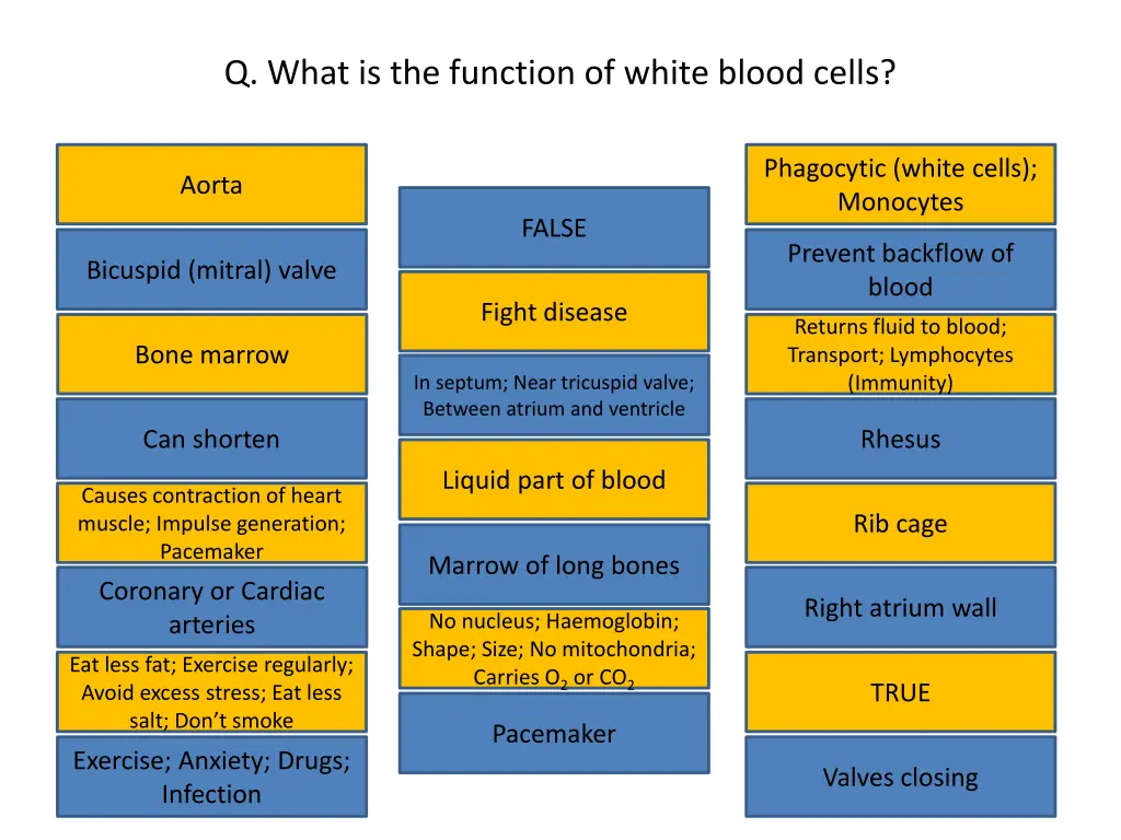 q what is the function of white blood cells