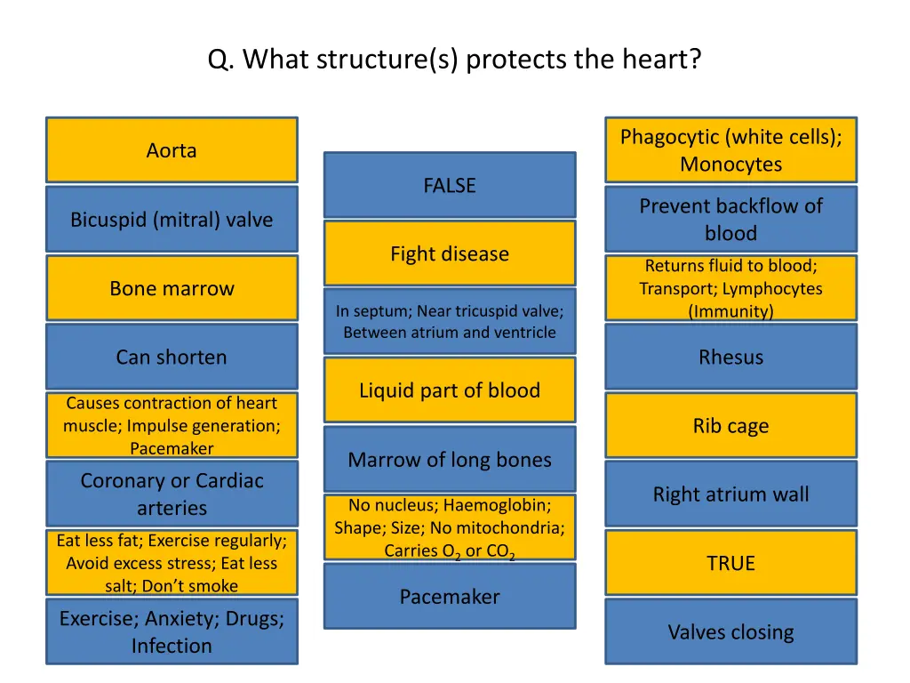 q what structure s protects the heart