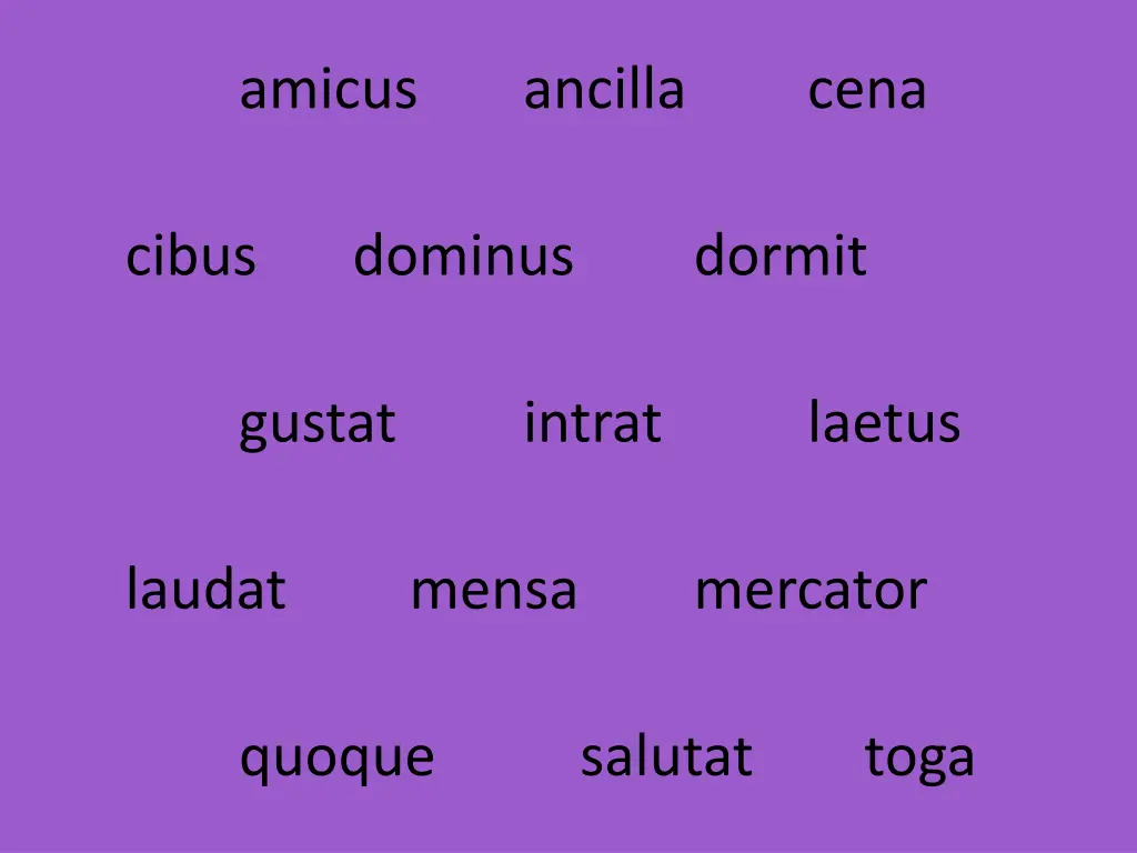 amicus