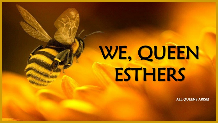 we queen we queen esthers esthers