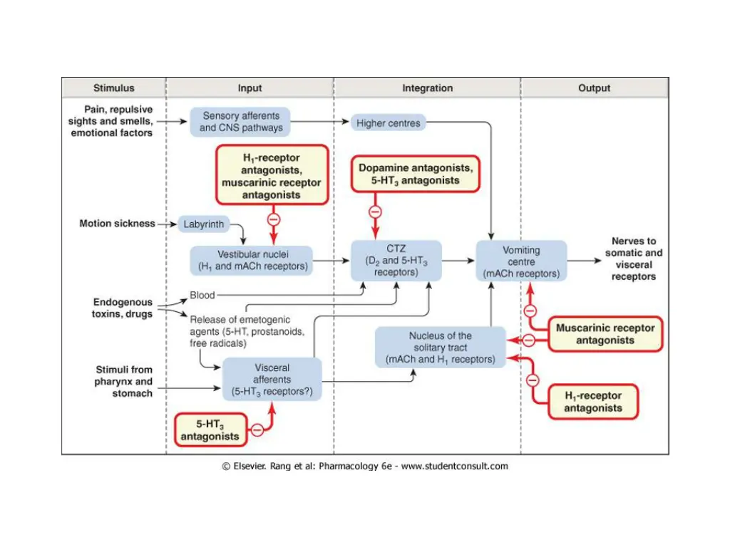 slide13