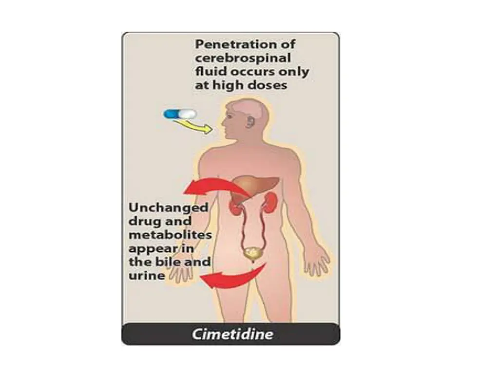 slide8