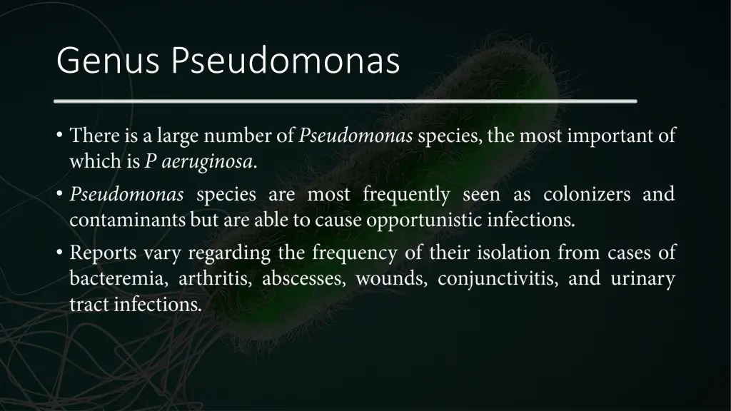 genus pseudomonas