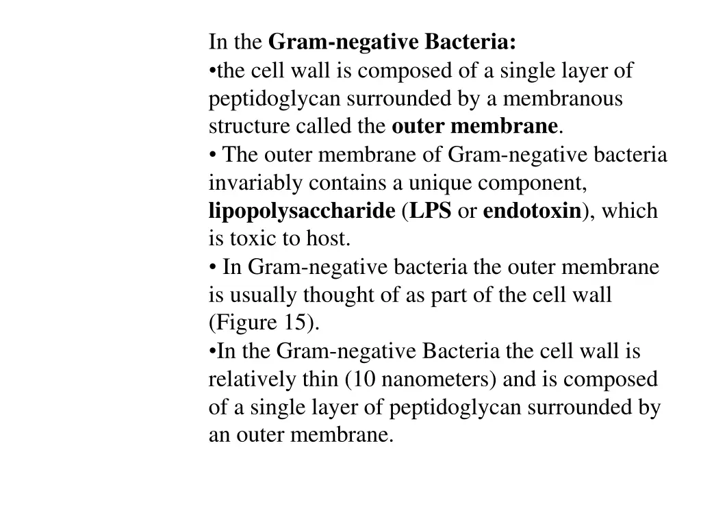 in the gram negative bacteria the cell wall