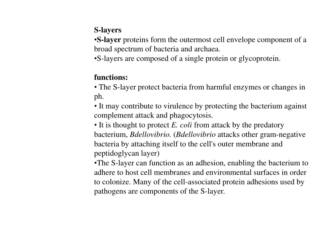 s layers s layer proteins form the outermost cell