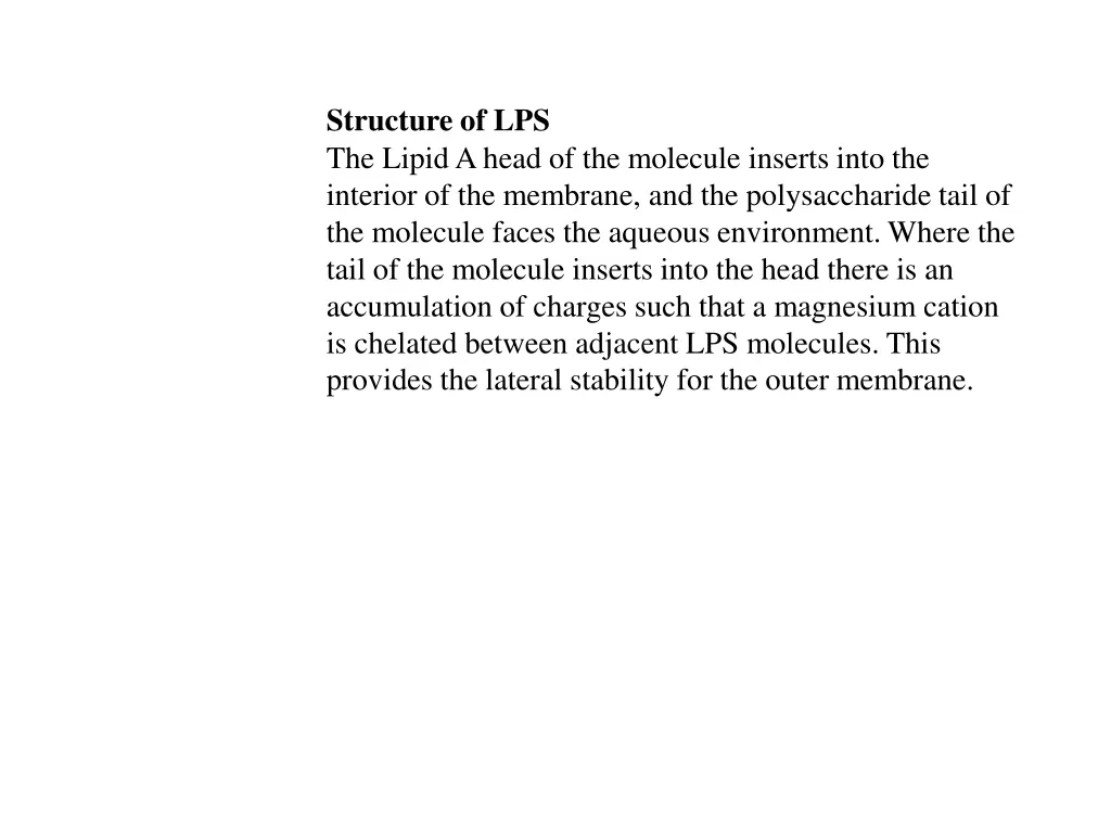 structure of lps the lipid a head of the molecule