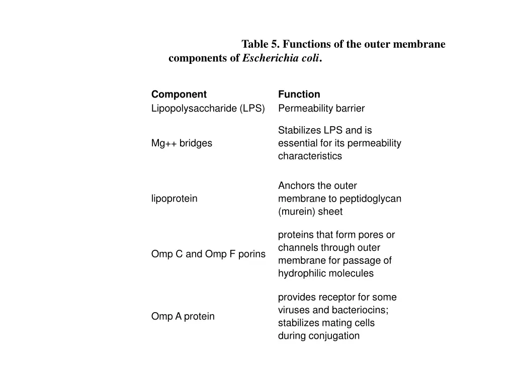 table 5 functions of the outer membrane