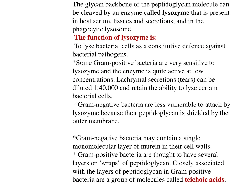 the glycan backbone of the peptidoglycan molecule