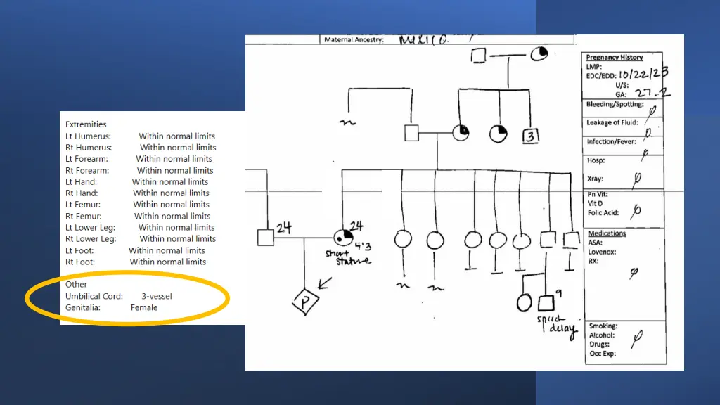 slide27