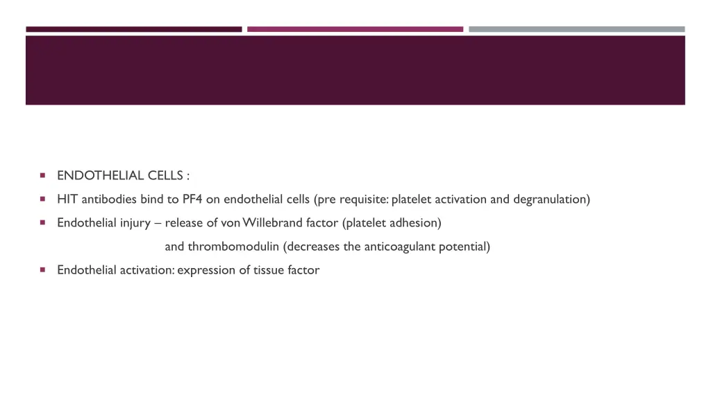 endothelial cells