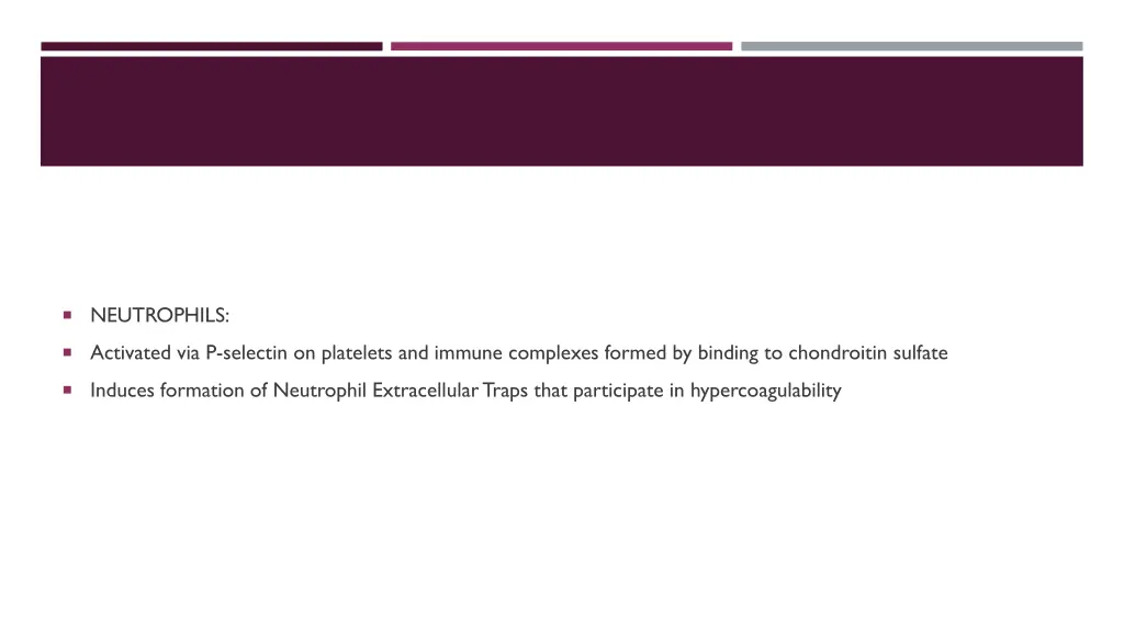 neutrophils