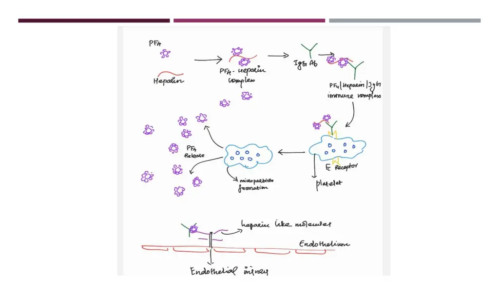 slide19