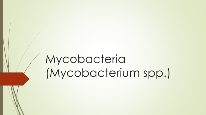 mycobacteria mycobacterium spp