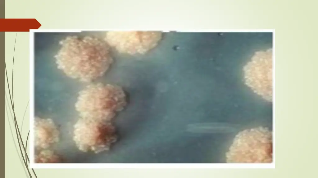 slide9