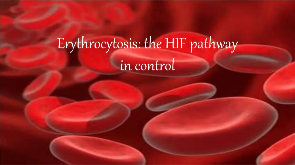 erythrocytosis the hif pathway in control