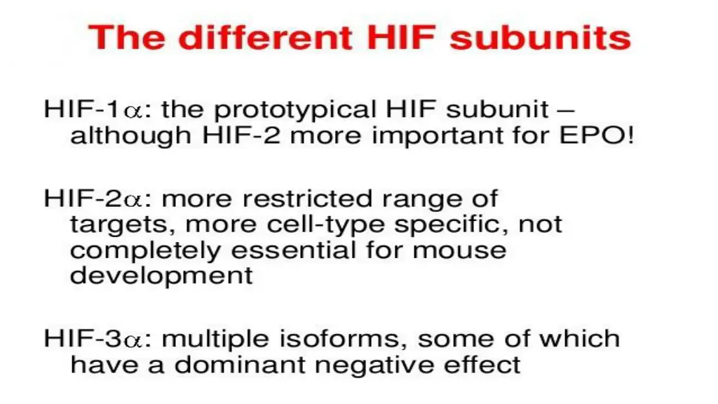 slide5