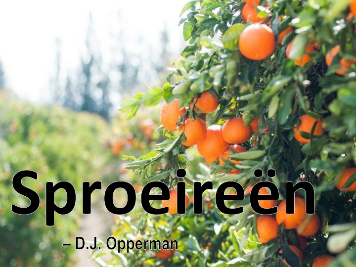 sproeire n d j opperman