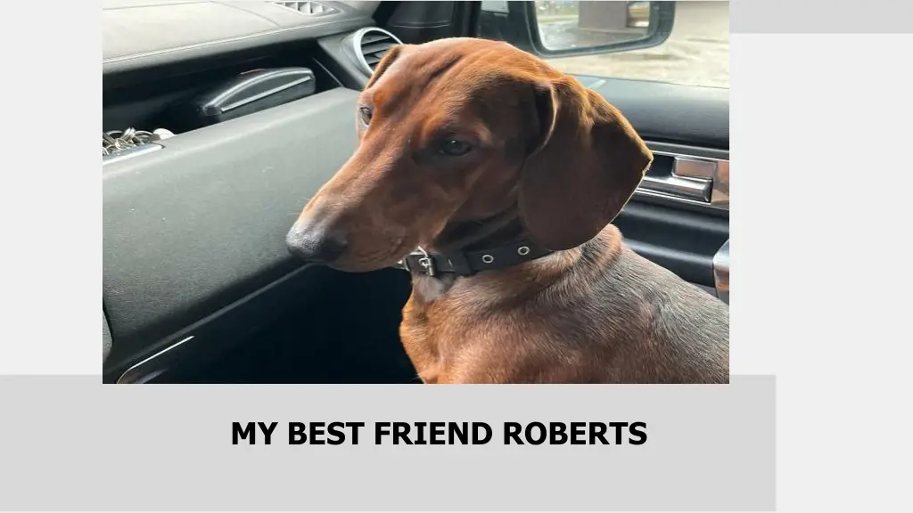 my best friend roberts