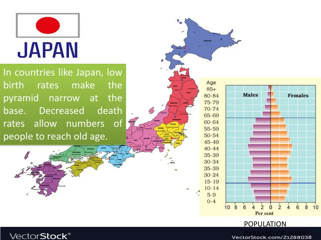 in countries like japan low birth rates pyramid