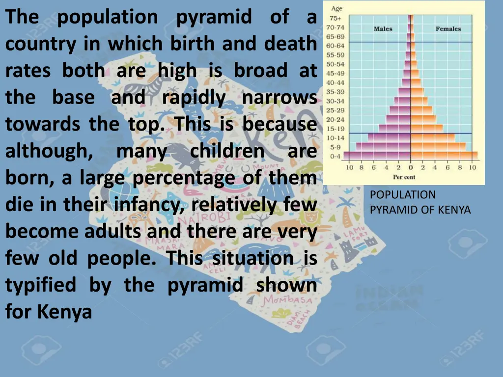 the population pyramid of a country in which