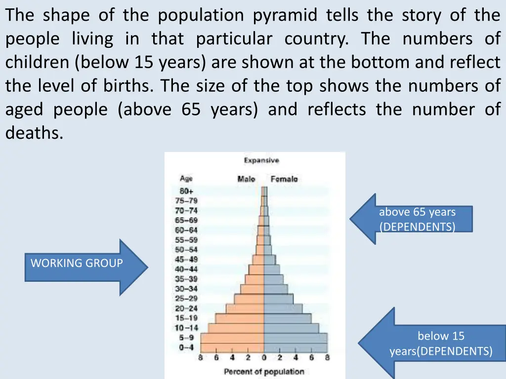 the shape of the population pyramid tells