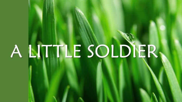 a little soldier
