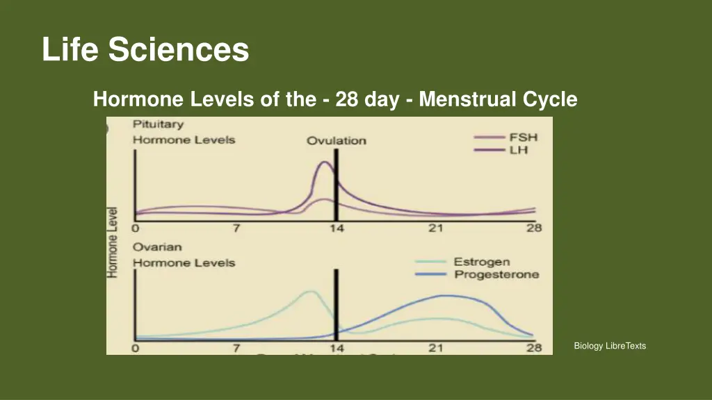 life sciences 12
