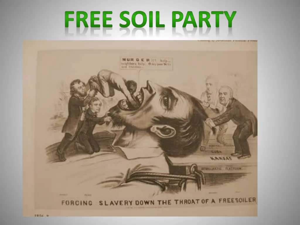free soil party