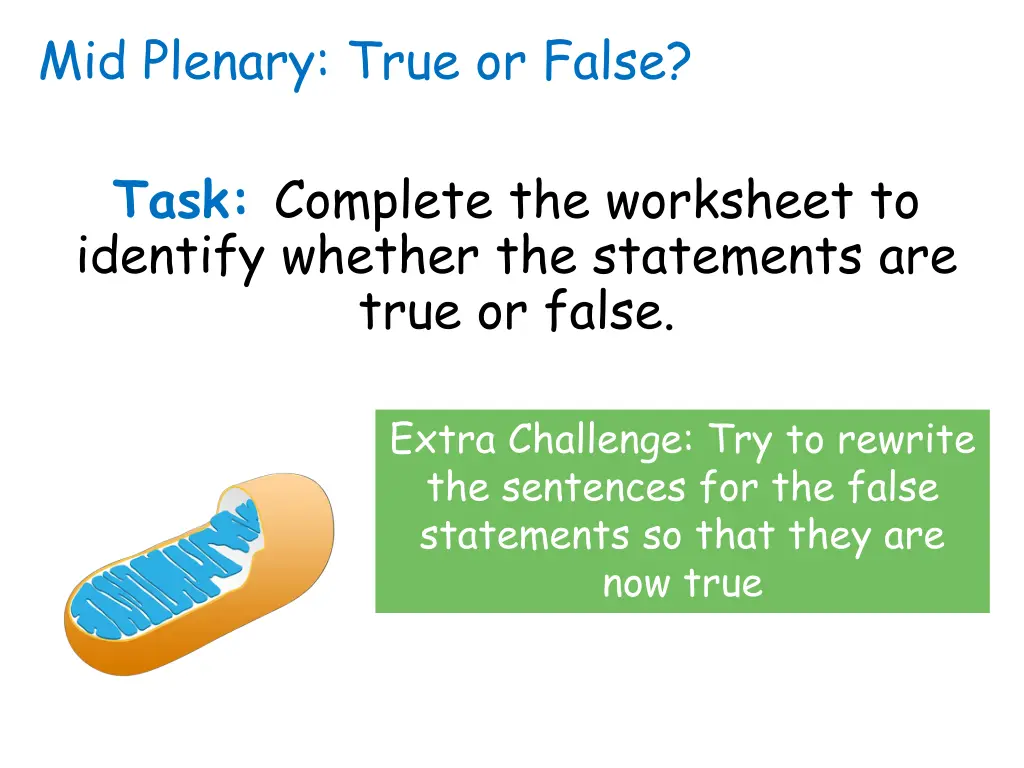 mid plenary true or false