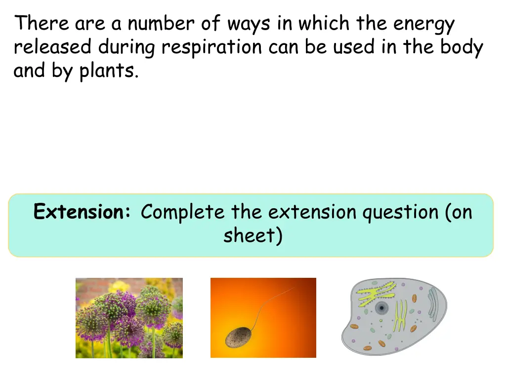 there are a number of ways in which the energy