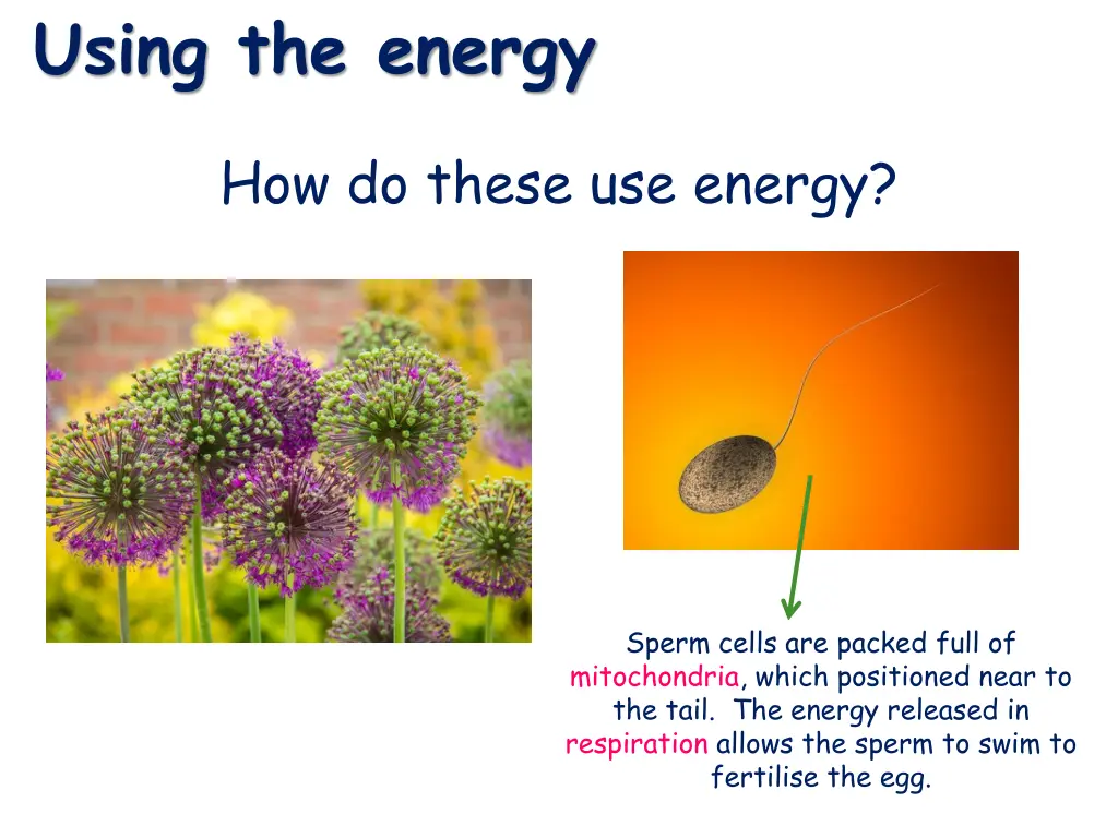 using the energy