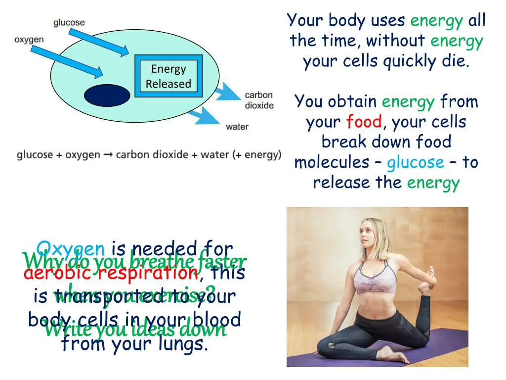 your body uses energy all the time without energy