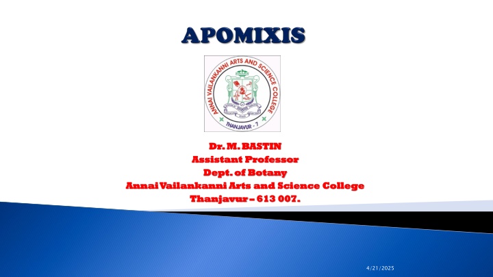 dr m bastin dr m bastin assistant professor