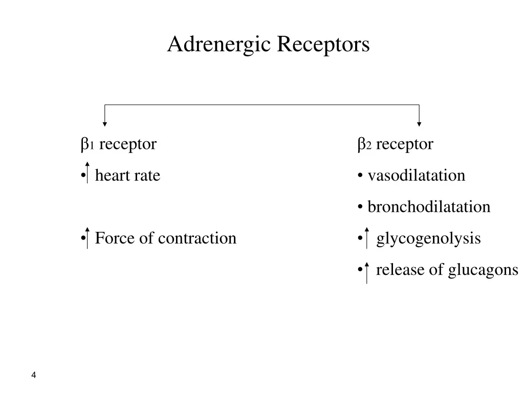 adrenergic receptors 1
