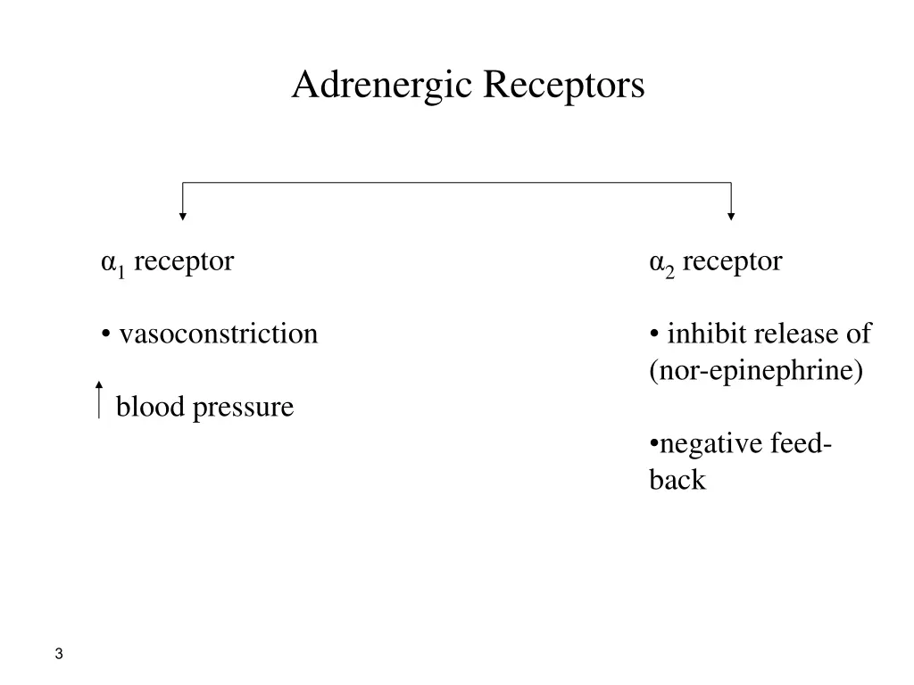 adrenergic receptors