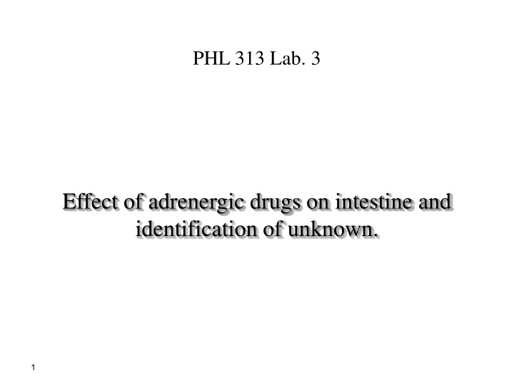 phl 313 lab 3